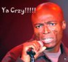 seal-yacrzy.jpg