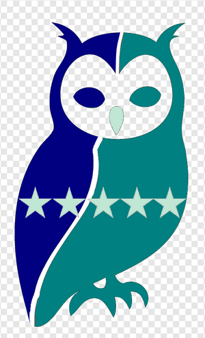 Progressive Owl Teal.png