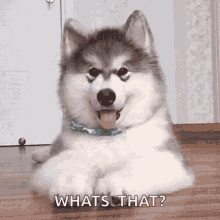 1725043801500.gif