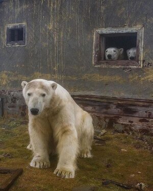 wildglobe_457273417_523483656880922_9097130865030524320_n.jpg