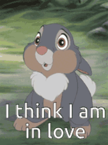 rabbit-bunny.gif