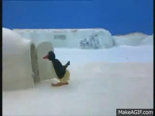 IMG_5369.gif