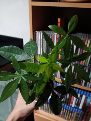 20241013_031518.jpg