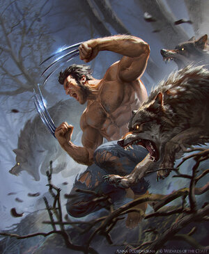 anna-podedworna-wolverine.jpg