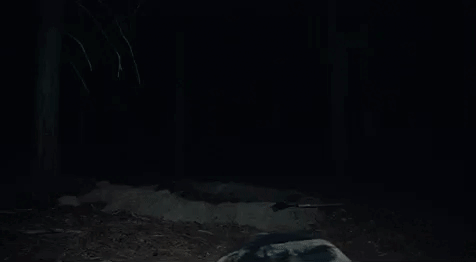 1731199037792.gif