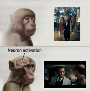 1734532978050.png 1734532978050.png