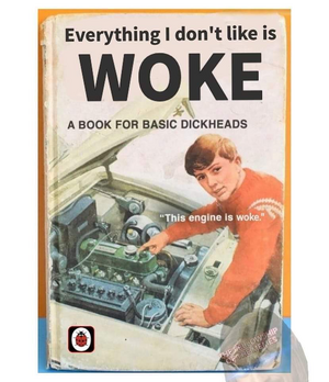 1738087213462.png
