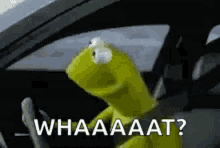 1738367996964.gif