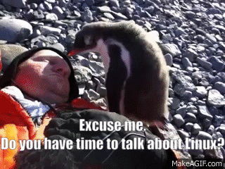 ezgif.com-added-text.gif