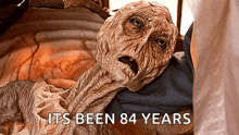 1740715572826.gif