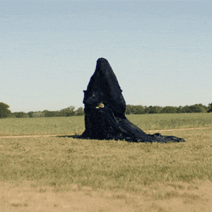 IMG_7138.gif