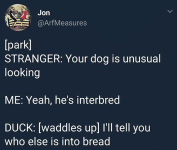 ijs6fwbhjxne1.png