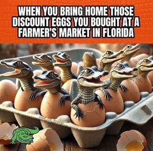 57b207c4-320b-4fd9-9a1e-69368c17bd97.jpeg