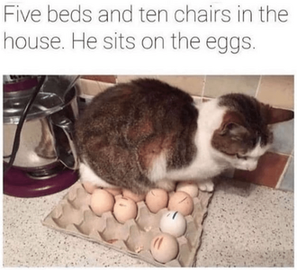 1742407862010.png