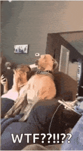 1743220937465.gif