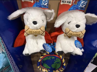 1000072231.jpg 1000072231.jpg