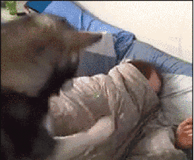 1743717154187.gif