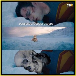 1743748541099.jpeg 1743748541099.jpeg