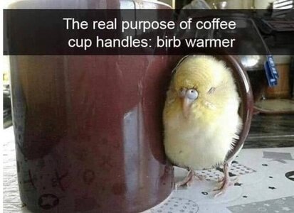 main-qimg-a237d28ce77c5dbaa0b5e445ddb90112.jpeg