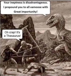 371949810023055919616169477165.jpg