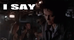 IMG_2495.gif
