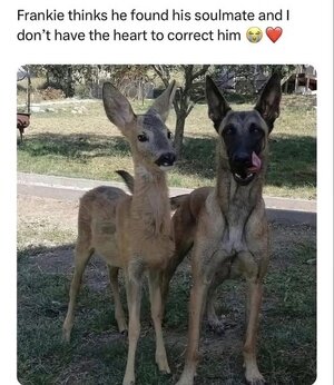 236220944911971060964149105641.jpeg