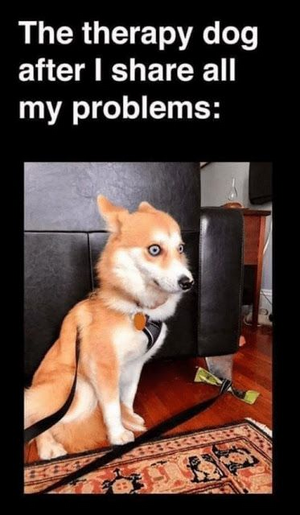 1745608739725.png