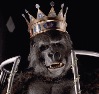 IMG_8034.gif