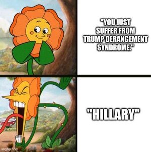 gqbc7s5clc1f1.jpeg