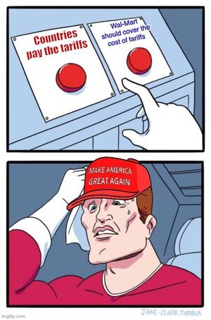 zbavmzff9k1f1.jpeg