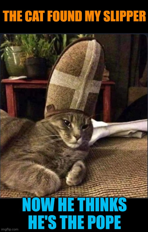 1747637104649.png