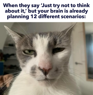 1747637209213.png