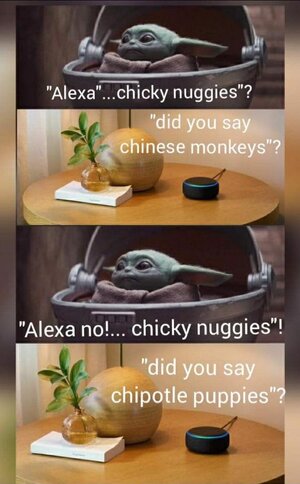 482015580_1404477690840808_4867033396823917716_n.jpg