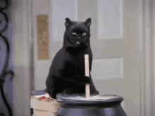 1747692482910.gif