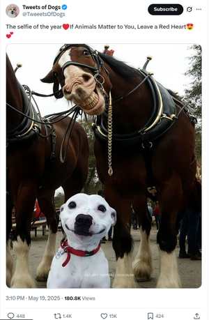 horsesmile.png