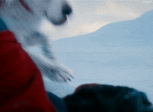 1747856879456.gif