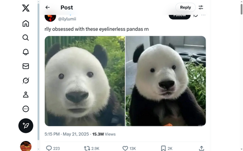1748019347568.png