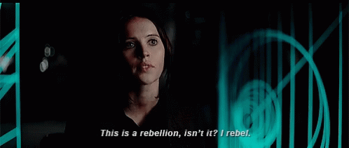 1748141930948.gif