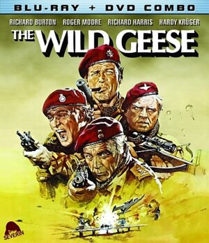 wild geese.jpg