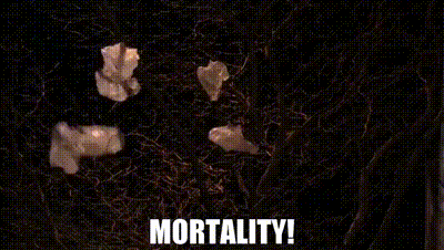 1749492836983.gif
