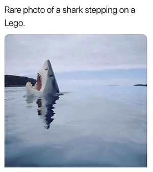 1749562362689.png
