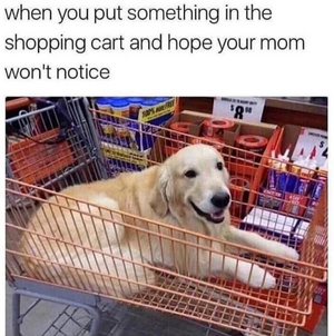 1749563377902.png