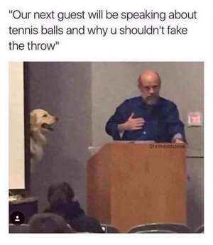 114363-fe4ce815463181d2d28fb337f059e895.jpeg