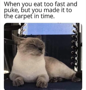 1749621534834.png
