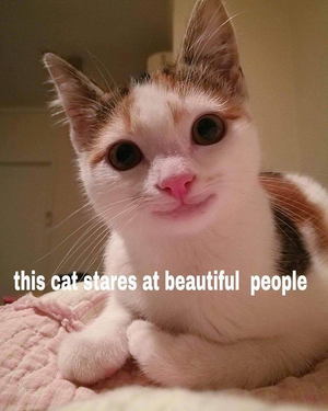 1749699909228.png