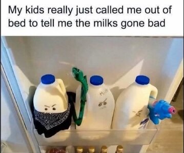 FB_IMG_1749697127560.jpg