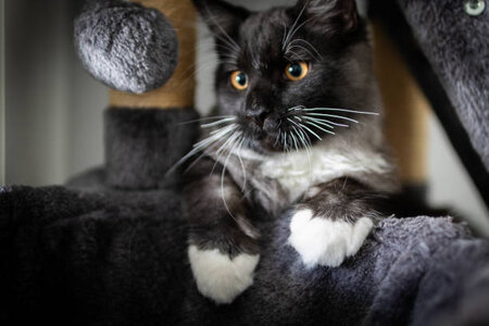 istockphoto-2151026525-612x612.jpg