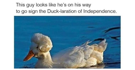 1749781073460.png