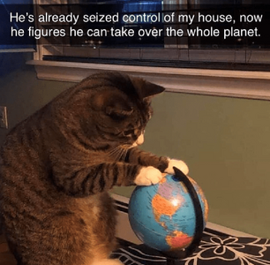 main-qimg-fa459c26b3a30ab8b80934edd7a9245a.png