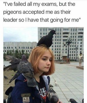1749781837026.png